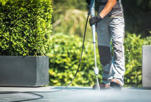 Pre-Holiday Cleaning in Round Lake Heights, IL